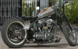 Vegas looser02.webp
