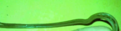 220122.webp