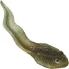 zanpaburu.webp