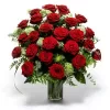 vvcxcv.webp