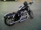 mi burra.webp
