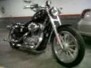 my jaca.webp