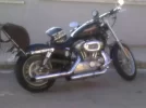 IMG00946-20111224-1003.webp