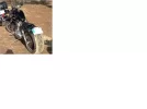 883 tras.webp