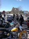 29012012169.webp