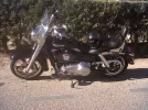 IMG00309-20120108-1253.webp