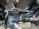 FOTOS HARLEY 005.webp
