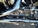 FOTOS HARLEY 008.webp