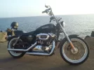 Sportster Low 1200.webp