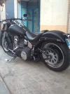 resized_Imatge0016.webp