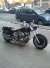 resized_Imatge0014.webp