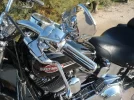 FOTOS HARLEY 012.webp