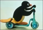 pingu.webp
