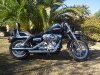 Dyna Custom.jpg Dyna Custom.jpg