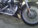 sportster quilla 1.webp