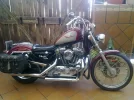 54345813.webp