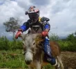 moto.webp