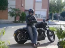 sporter 1200.webp