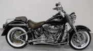 harley.webp