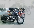 mi Street Bob.webp