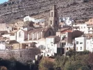 Cortes.webp