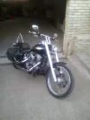 softail.1.webp