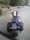 softail.2.webp