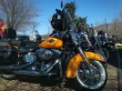 DSC_0082.webp