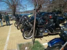 DSC_0083.webp