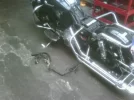 IMG00153-20120313-1203.webp
