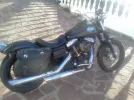 IMG137.webp