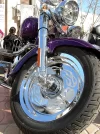 DSCN1234.copia.webp
