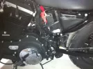 la foto(2).webp