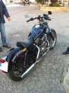 Harley3.webp
