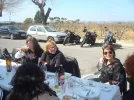 DSC08501.webp