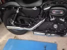 DSCF0981.webp
