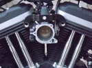 DSCF0984.webp