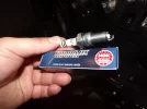 DSCF1021.webp