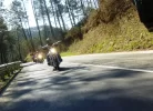P1130344.webp