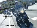 P1130404.webp