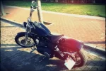 la foto (1).webp