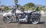 Harley lateral.webp