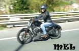 P1130565.webp