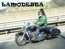 P1130567.webp