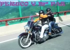 P1130570.webp