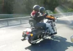 P1130571.webp