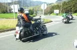 P1130575.webp