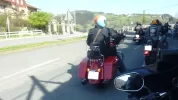 P1130587.webp