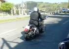 P1130590.webp