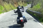P1130641.webp